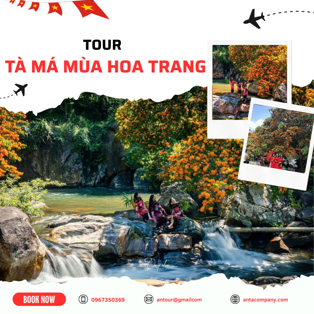 Chưa có tên (800 x 500 px) (1200 x 1200 px) - 47